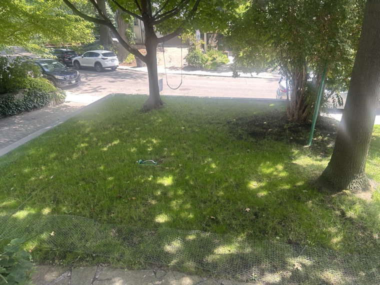 A shaded, well-kept front lawn from one of our jobs