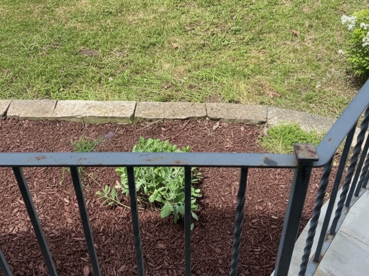 A freshly mulched garden bed along a front walkway from one of our jobs